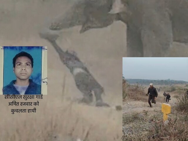 हाथियों के हमले में 4 की जान गई! सेल्फी लेते CCL गार्ड को कुचल डाला, खौफ