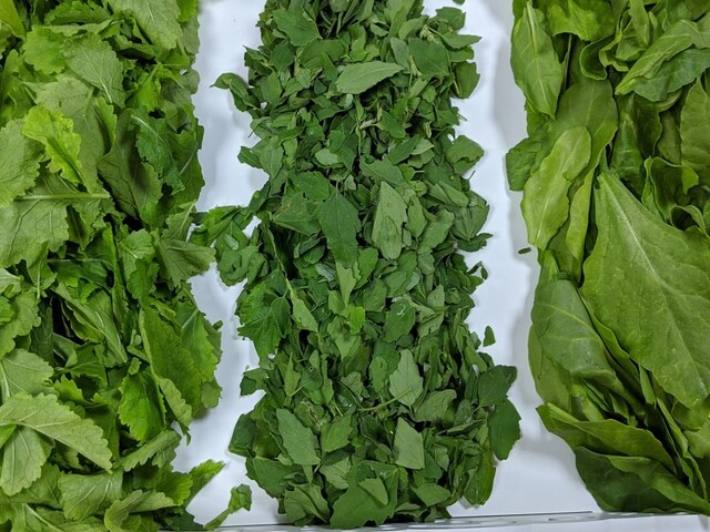 दो दिन बासी सरसों के साग को क्या कहेंगे? जवाब सुनते ही बेहोश हो गए लोग!