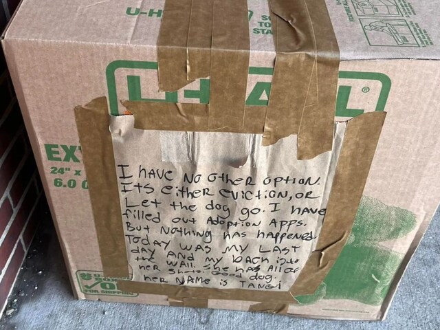 शेल्टर होम के बाहर कोई छोड़ गया डिब्बे, बाहर चिपकी थी एक चिट्ठी, फिर...