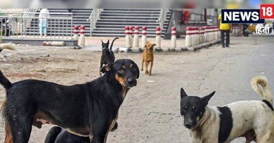 ग्वालियर में रेबीज से यह चौथी मौत है.