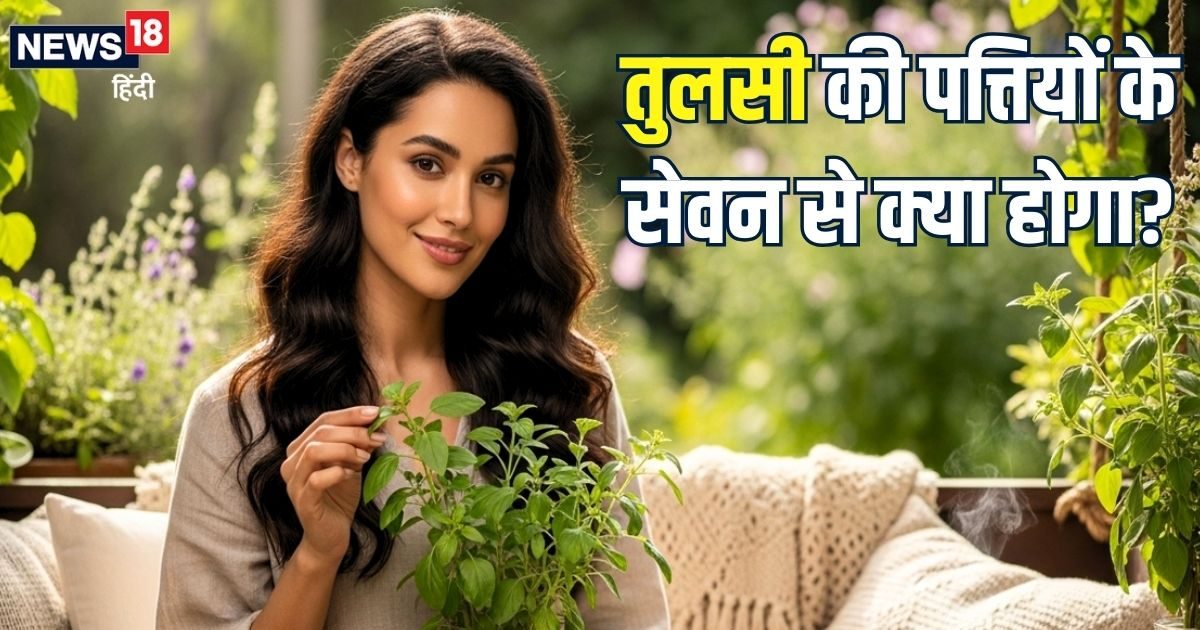 Benefits of Tulsi: सुख-समृद्धि के साथ इन 10 बीमारियों से राहत देती है रोजाना तुलसी का सेव Benefits of Tulsi: सुख-समृद्धि के साथ इन 10 बीमारियों से राहत देती है रोजाना तुलसी का सेव