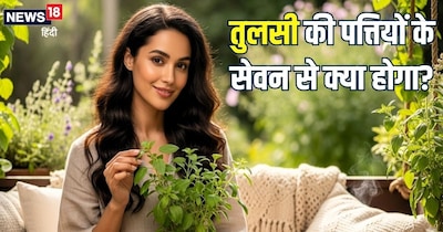 जानिए, रोज तुलसी का सेवन करना अमृत समान क्यों?  (AI)