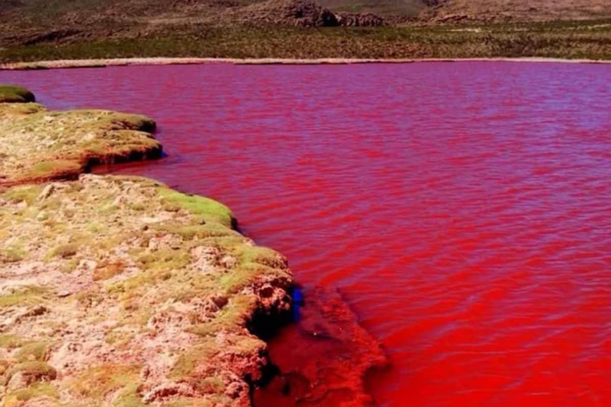 इस नदी में क्यों बहता है खून सा पानी? खौफनाक सच जानकर खड़े हो जाएंगे रोंगटे!