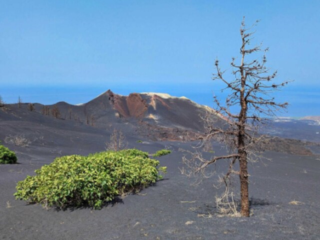 तीन महीने लगातार फूटते रहे ज्वालामुखी, जगह का हो गया ऐसा हाल, याद आ गए एलियन!