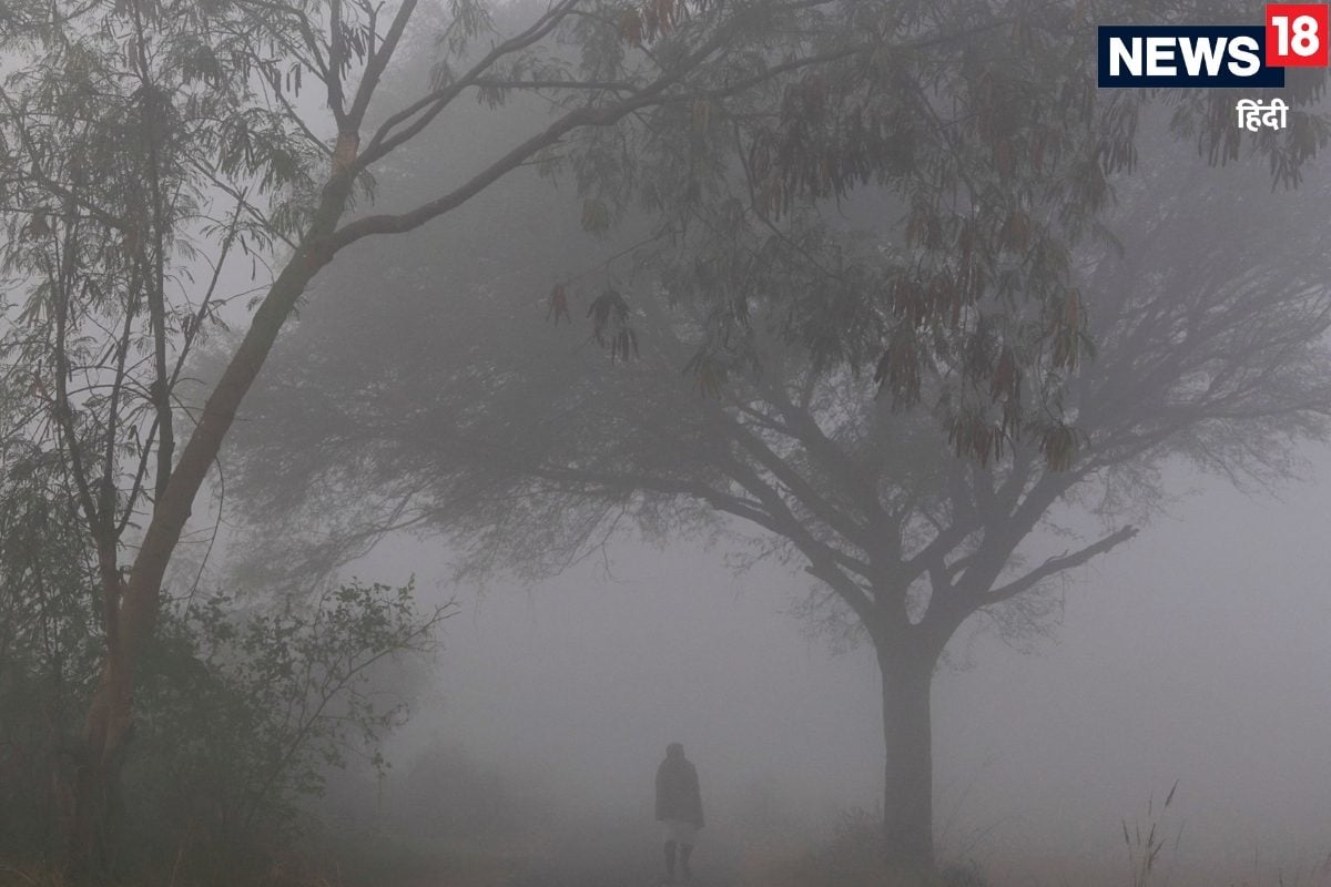 एक आफत टली नहीं दूसरे ने दे दी दस्‍तक पंजाब से बिहार तक दिखने लगा असर