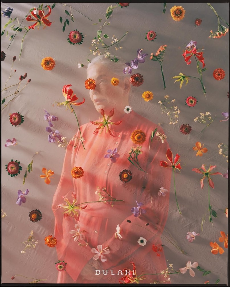 zeenat aman, zeenat aman photoshoot, zeenat aman family, zeenat aman movies, लेटेस्ट फोटोशूट zeenat aman, zeenat aman photoshoot, zeenat aman family, zeenat aman movies, लेटेस्ट फोटोशूट