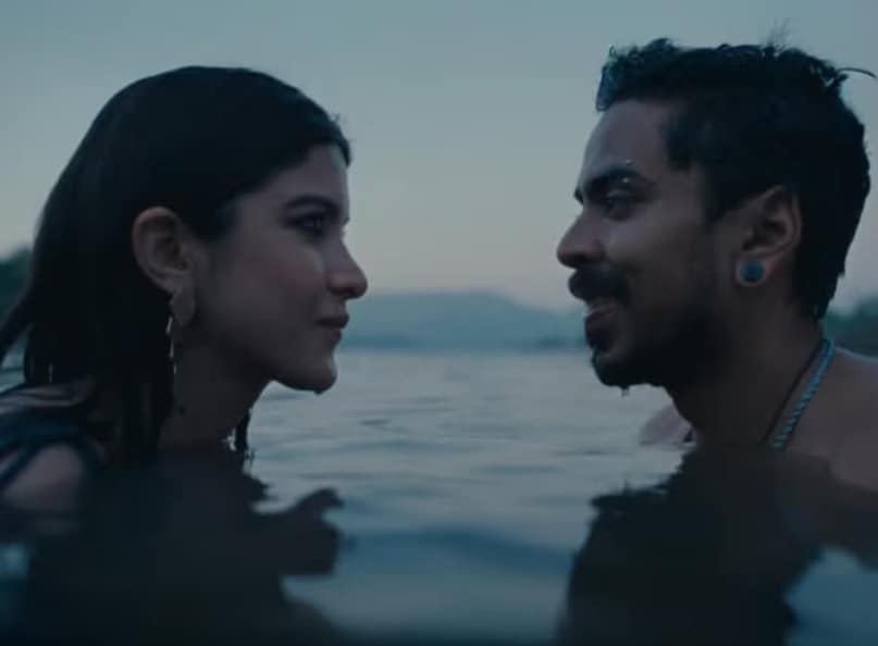 bollywood romantic films, bollywood upcoming romantic movies, love and war, pati patni aur woh do, cocktail 2 release date, bollywood romantic films 2026, बॉलीवुड रोमांटिक फिल्में, बॉलीवुड रोमांटिक मूवीज 2026, लव एंड वार रिलीज डेट, कॉकटेल 2, बॉलीवुड न्यूज 