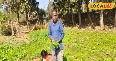 किसान चौकिंदर सिंह का मानना है कि पलायन के बजाय आप अपने मेहनत से कृषि के क्षेत्र में भी अच्छी आमदनी कर सकते हैं. उन्होंने कहा कि वे इंटर पास करने के बाद से ही इस क्षेत्र को चुने और अपने माता पिता को देखकर खेती बाड़ी का कार्य सीखें और खेती बाड़ी का कार्य कर रहे हैं. इतना ही नहीं, वे खेती बाड़ी के कार्य से सलाना लाखों रुपए कमा रहे हैं. साथ ही घर परिवार चलाने अपने बच्चों को बाहर शिक्षा देने के साथ साथ सालाना लगभग 300000 रुपए की बचत भी कर रहे हैं.