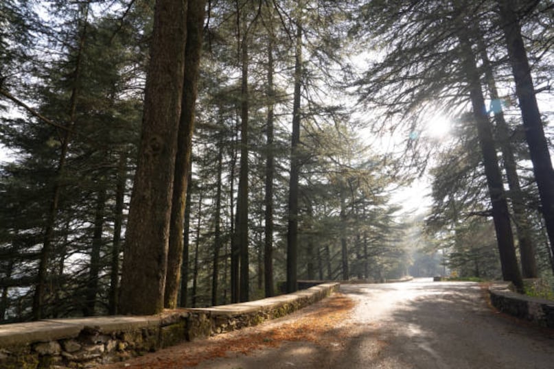 Chail: Chail, near Solan, is known for its quiet forests, Chail Palace, and the world’s highest cricket ground. Less crowded than Shimla or Manali, it offers peaceful mountain walks and scenic beauty.