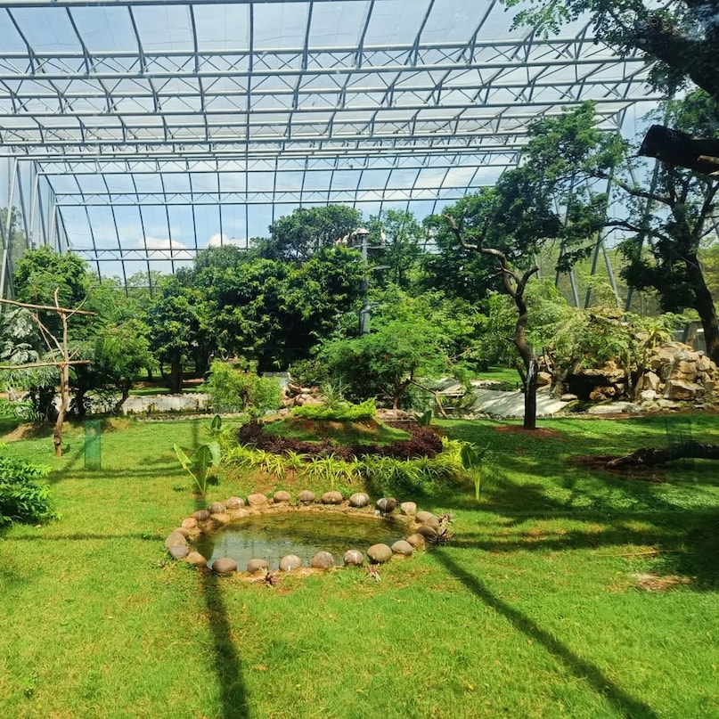 Guindy National Park: One of the few national parks located within a city, Guindy is a green haven with diverse flora and fauna. It’s a great option for a short nature trail without leaving Chennai’s limits.