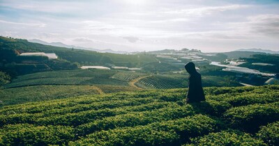 Which city is known as the Tea Garden of India 