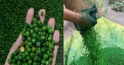 Beware of Fake Green Peas: Industrial Dye Linked to Cancer Risk