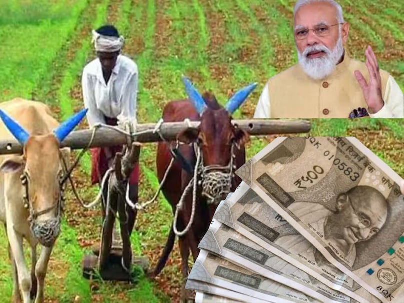 PM Kisan, PM Kisan scheme, PM Kisan yojana, PM Kisan samman nidhi, farmers, bank account, किसान, बैंक खाता, पीएम किसान सम्मान, पीएम किसान योजना