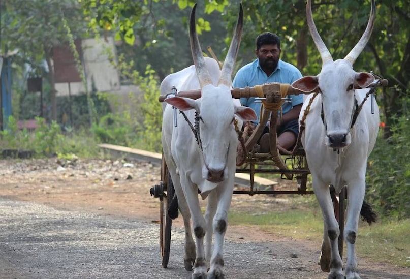 PM Kisan, PM Kisan scheme, PM Kisan yojana, PM Kisan samman nidhi, farmers, bank account, किसान, बैंक खाता, पीएम किसान सम्मान, पीएम किसान योजना