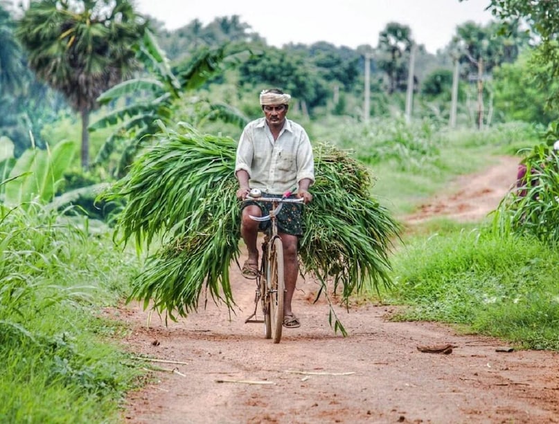 PM Kisan, PM Kisan scheme, PM Kisan yojana, PM Kisan samman nidhi, farmers, bank account, किसान, बैंक खाता, पीएम किसान सम्मान, पीएम किसान योजना