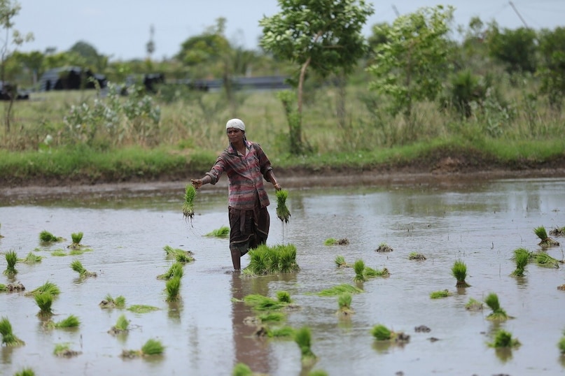PM Kisan, PM Kisan scheme, PM Kisan yojana, PM Kisan samman nidhi, farmers, bank account, किसान, बैंक खाता, पीएम किसान सम्मान, पीएम किसान योजना