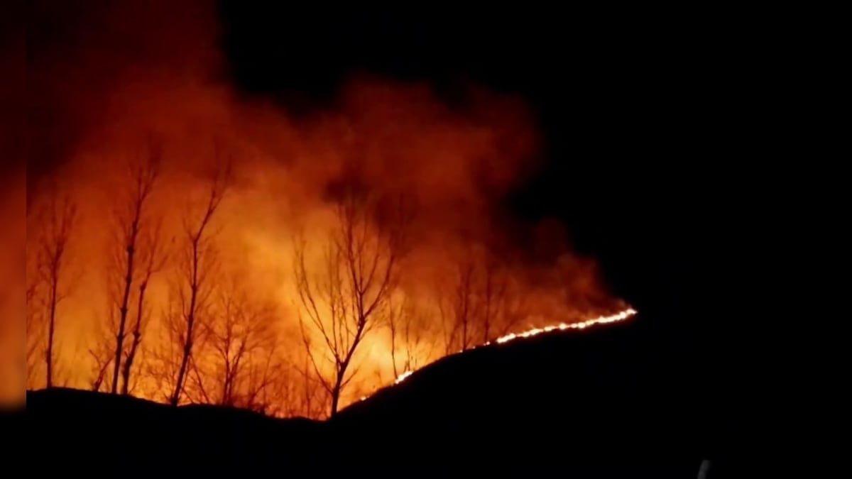 अनंतनाग के वेरीनाग में धधक उठे जंगल, बेकाबू हुई आग ने मचाई भारी तबाही, मौके पर पहुंची फायर ब्रिगेड