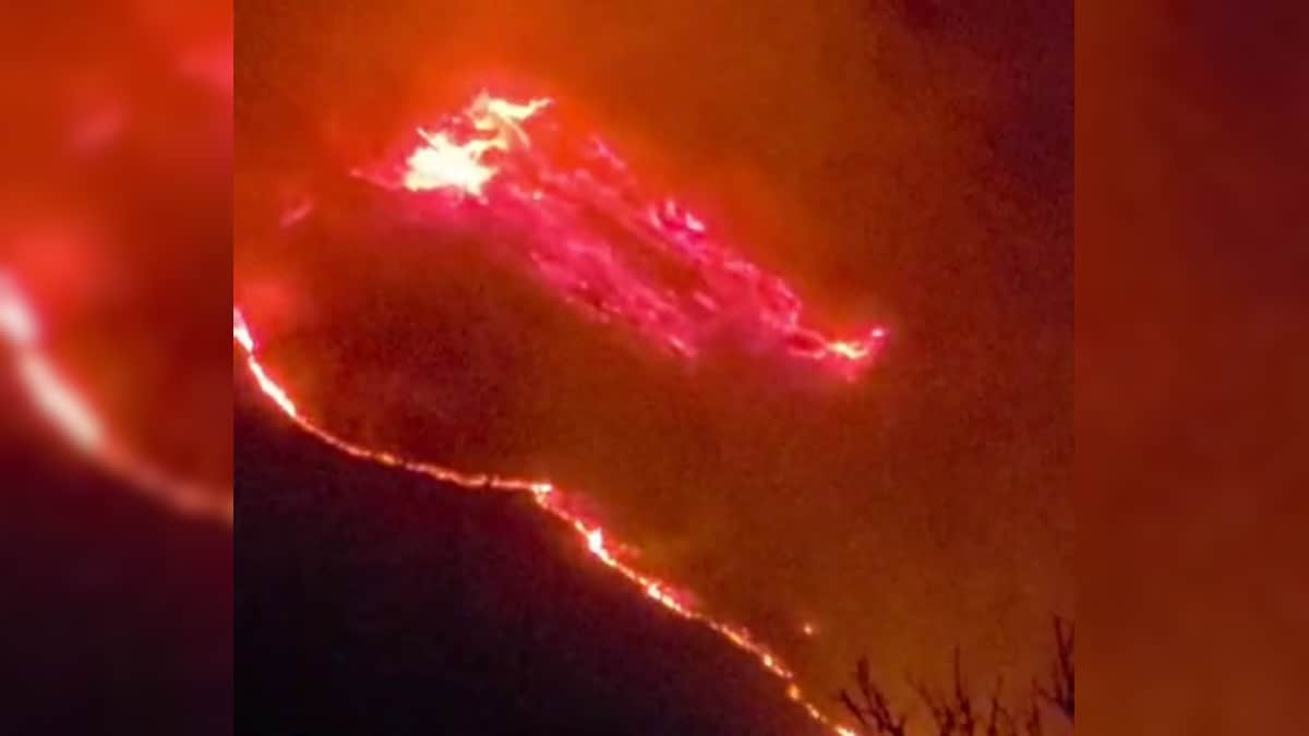 VIDEO: बारामूला के उरी में धधक उठे जंगल, क्या बेकाबू आग लील जाएगी कश्मीर का 'ग्रीन गोल्ड'?