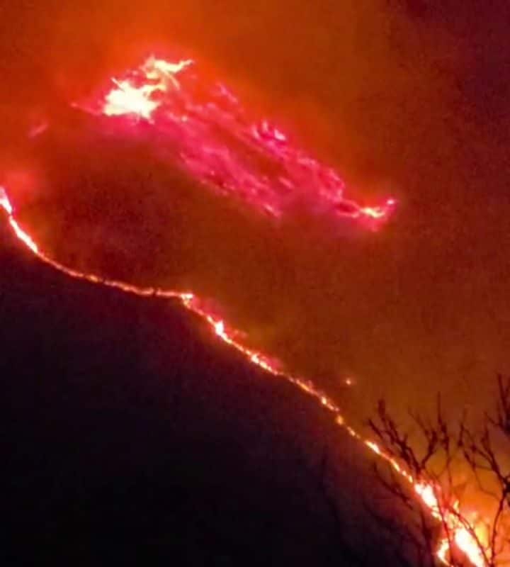 VIDEO: बारामूला के उरी में धधक उठे जंगल क्या बेकाबू आग लील जाएगी कश्मीर का ग्रीन गोल्ड