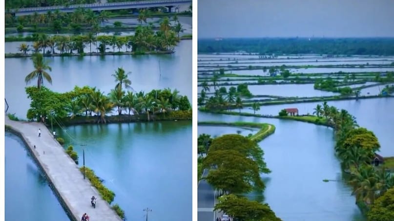 பொதுப் போக்குவரத்து: கடம்குடிக்கு நேரடி பேருந்துகள் குறைவாகவே உள்ளன. விட்டிலா மொபிலிட்டி ஹப் அல்லது எர்ணாகுளத்திலிருந்து நேரடியாக பேருந்து மூலம் செல்லலாம். மாற்றாக, நீங்கள் வடக்கு பரவூர் அல்லது குருவாயூரில் இருந்து பேருந்தில் சென்று வரப்புழா அருகே இறங்கலாம். அங்கு ஆட்டோக்கள் உள்ளன. நீங்கள் மெட்ரோவில் சென்றால், கொச்சியில் இறங்கி சங்கம்புழா நகரை அடைய வேண்டும். அதன் பிறகு, ஒரு டாக்ஸியை முன்பதிவு செய்து அந்த இடத்தை அடையலாம். படகு மூலம் செல்லவும் வாய்ப்பு உள்ளது. நீங்கள் எர்ணாகுளம் உயர் நீதிமன்ற ஜெட்டியிலிருந்து பிஜாலா செல்ல வேண்டும். அதன் பிறகு, கடம்குடிக்குச் செல்லும் வேறு சில சிறிய படகுகள் உள்ளன. அவற்றில் ஏறினால், உங்கள் இலக்கை அடைவீர்கள். பொதுப் போக்குவரத்து: கடம்குடிக்கு நேரடி பேருந்துகள் குறைவாகவே உள்ளன. விட்டிலா மொபிலிட்டி ஹப் அல்லது எர்ணாகுளத்திலிருந்து நேரடியாக பேருந்து மூலம் செல்லலாம். மாற்றாக, நீங்கள் வடக்கு பரவூர் அல்லது குருவாயூரில் இருந்து பேருந்தில் சென்று வரப்புழா அருகே இறங்கலாம். அங்கு ஆட்டோக்கள் உள்ளன. நீங்கள் மெட்ரோவில் சென்றால், கொச்சியில் இறங்கி சங்கம்புழா நகரை அடைய வேண்டும். அதன் பிறகு, ஒரு டாக்ஸியை முன்பதிவு செய்து அந்த இடத்தை அடையலாம். படகு மூலம் செல்லவும் வாய்ப்பு உள்ளது. நீங்கள் எர்ணாகுளம் உயர் நீதிமன்ற ஜெட்டியிலிருந்து பிஜாலா செல்ல வேண்டும். அதன் பிறகு, கடம்குடிக்குச் செல்லும் வேறு சில சிறிய படகுகள் உள்ளன. அவற்றில் ஏறினால், உங்கள் இலக்கை அடைவீர்கள்.