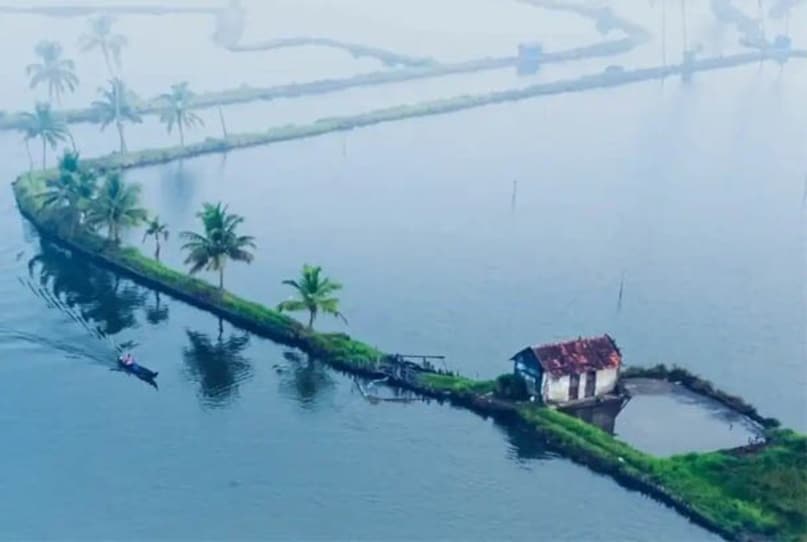 கேரளாவில் வேறு சில நீர் கிராமங்களும் உள்ளன. அவற்றில் ஒன்று ஆலப்புழா . இங்கே சுற்றுலா பயணிகள் படகு சவாரிகளை அனுபவிக்கலாம். மறுபுறம், வேம்பநாடு ஏரியில் குமரகம் என்று அழைக்கப்படும் தீவுகளின் குழு உள்ளது. இது பறவைகளைப் பார்ப்பதற்கும் ஆயுர்வேத ஓய்வு விடுதிகளுக்கும் ஒரு நல்ல இடமாகும். கேரளாவின் அரிசி கிண்ணம் என்றும் அழைக்கப்படும் குட்டநாடும் மிகவும் பிரபலமானது. முன்ராய் தீவு, கொல்லம் மற்றும் கோட்டயமும் சுற்றுலாப் பயணிகளை ஈர்க்கின்றன. கேரளாவில் வேறு சில நீர் கிராமங்களும் உள்ளன. அவற்றில் ஒன்று ஆலப்புழா . இங்கே சுற்றுலா பயணிகள் படகு சவாரிகளை அனுபவிக்கலாம். மறுபுறம், வேம்பநாடு ஏரியில் குமரகம் என்று அழைக்கப்படும் தீவுகளின் குழு உள்ளது. இது பறவைகளைப் பார்ப்பதற்கும் ஆயுர்வேத ஓய்வு விடுதிகளுக்கும் ஒரு நல்ல இடமாகும். கேரளாவின் அரிசி கிண்ணம் என்றும் அழைக்கப்படும் குட்டநாடும் மிகவும் பிரபலமானது. முன்ராய் தீவு, கொல்லம் மற்றும் கோட்டயமும் சுற்றுலாப் பயணிகளை ஈர்க்கின்றன.