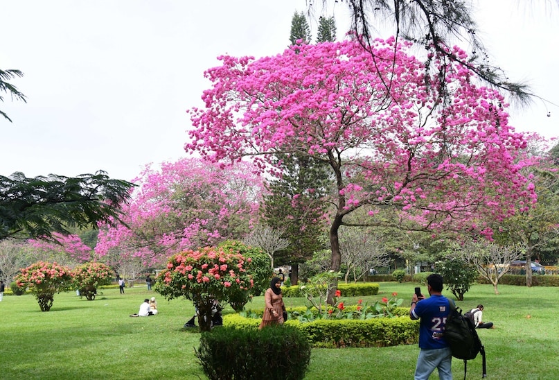 Travel Guide: Best Places Across India To Visit In February