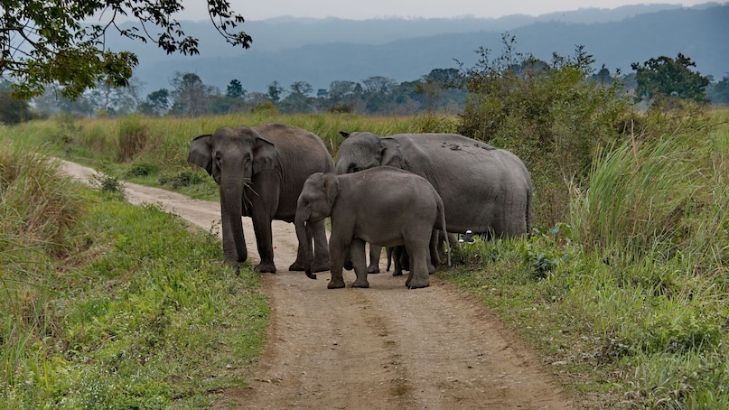 Travel Guide: Best Places Across India To Visit In February