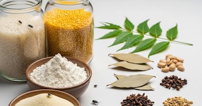 Pest-Free Pantry: Natural Kitchen Hacks to Protect Your Grains and Lentils