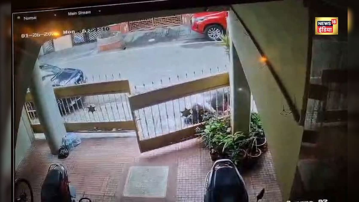 मालिक के हाथ से छुड़ाकर पट्टा, महिला पर झपट पड़ा 6 फिट का कुत्ता, कॉलोनी में मच गया हड़कंप