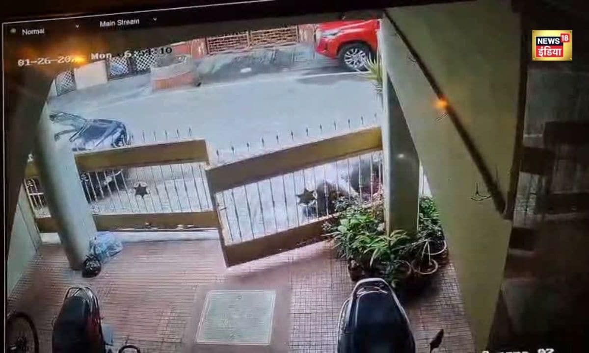 मालिक के हाथ से छुड़ाकर पट्टा महिला पर झपट पड़ा विशालकाय कुत्ता कॉलोनी में मच गया हड़कंप