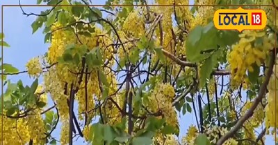 ग्रामीण इलाकों में आज भी यह उपाय किया जाता है.