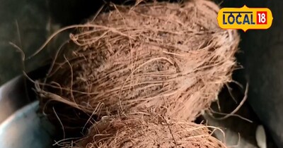 नारियल का छिलका और जटा भी स्वास्थ्य के लिए लाभकारी हैं.