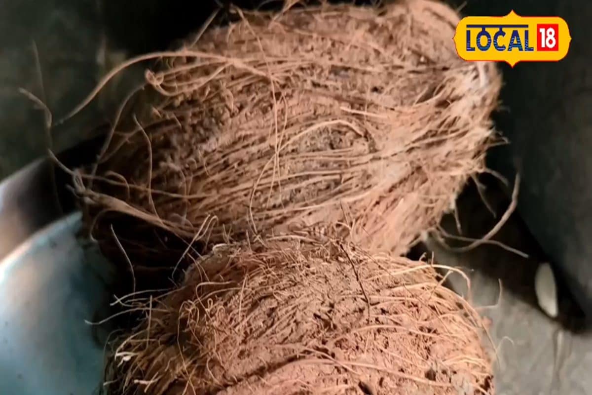 आप भी फेंक देते हैं नारियल का छिलका? पाइल्स से पीरियड्स दर्द तक, जानें कैसे है ये रामबाण