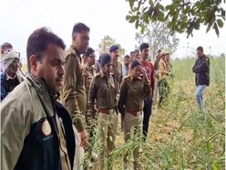 दादा को खाना देने गया मासूम...तेंदुए ने बनाया निवाला, धड़ से अलग किया सिर