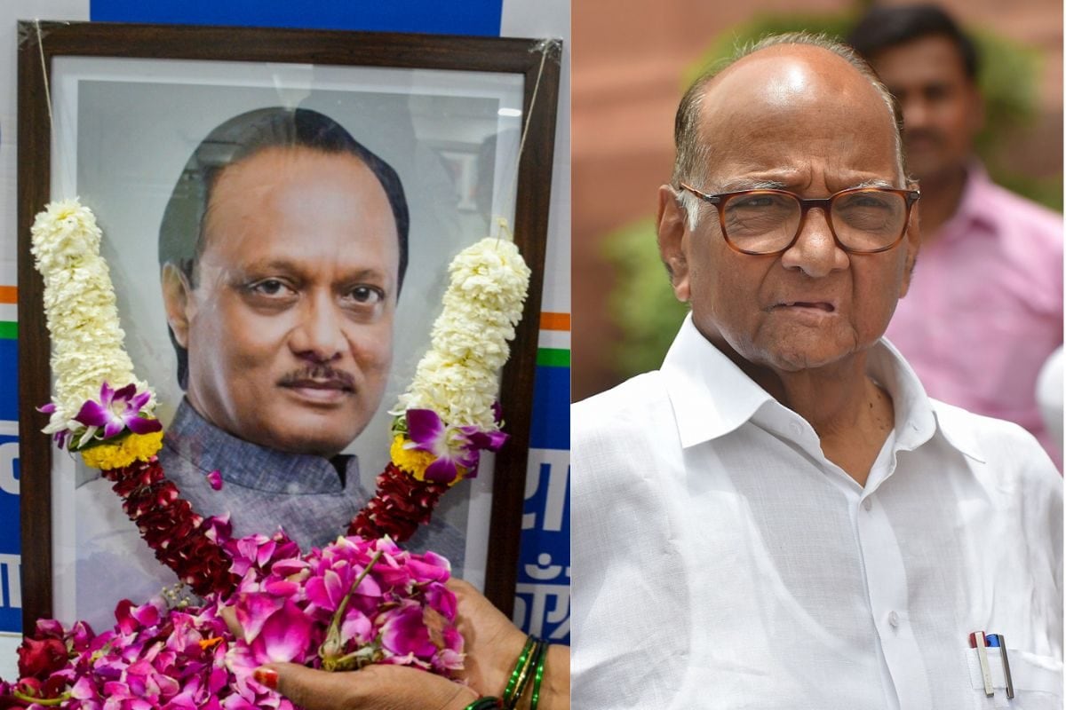 'ये बड़ा हादसा है, इसमें कोई राजनीति नहीं': प्‍लेन क्रैश पर सवाल उठाने वाली ममता- एसटी हसन को शरद पवार का जवाब