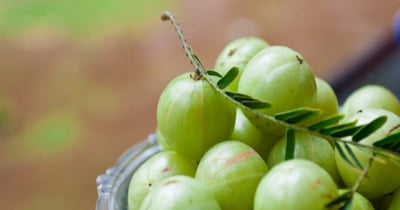 आंवले के अचार के फायदे.