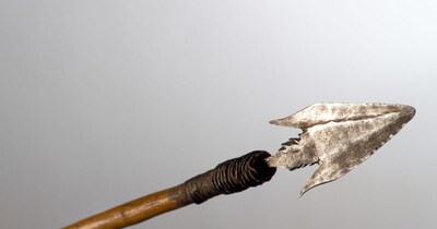 60,000 साल पहले इस्तेमाल होने वाले जहरीले तीर (फोटो:Canva) 