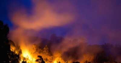 ऑस्ट्रलिया: भीषण गर्मी से झुलस रहा विक्टोरिया राज्य, 200 जगहों पर लगी, 120 बिल्डिंग क्षतिग्रस्त