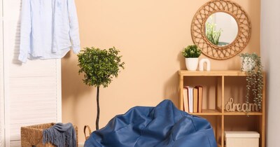 महिला ने ऑनलाइन मंगाया बीन बैग निकला ईंट जैसा कुछ(फोटो:Canva)