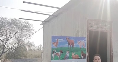 श्मशान घाट की एक खास बात यह है कि कुत्तों के शव को लाने के लिए मोर्चरी गाड़ी की भी व्यवस्था की गई है. 