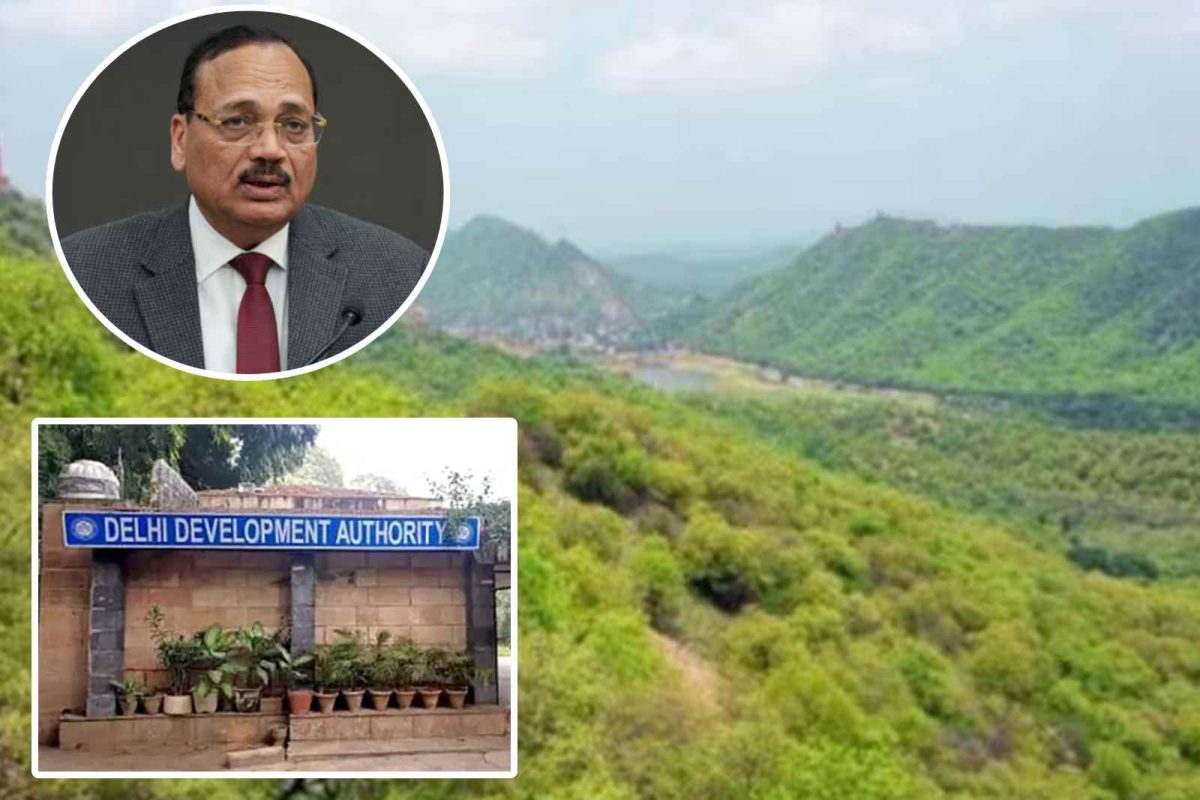 116 लाख पेड़ों का क्या हुआ अरावली सुनवाई में CJI ने की DDA की बोलती बंद