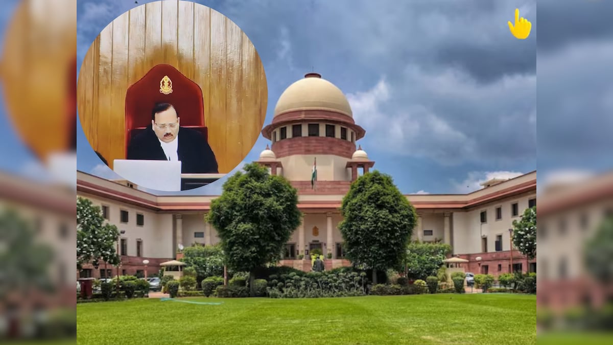 'फालतू PIL में माहिर हैं आप', वकील को देखते ही भड़के CJI सूर्यकांत, सुनाई बड़ी सजा, कहा- पब्लिसिटी के लिए...