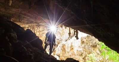 थाईलैंड के फा डेंग गुफा में काम कर रही एक रिसर्च टीम ने ड्रैगन मिलिपीड (Dragon Millipede) की दो प्रजातियों की पहचान की है.