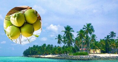 कोकोनट आईलैंड