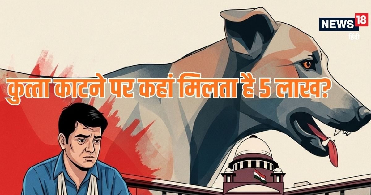 Trending GK: कुत्‍ता काटने पर किस राज्‍य में मिलता है 5 लाख का मुआवजा?