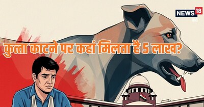 General Knowledge, Trending news, viral trending news, do you know, trending gk: कुत्‍ता काटने पर कहां मिलता है मुआवजा?