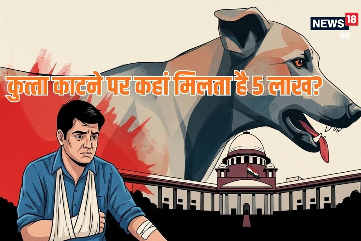 Trending GK: कुत्‍ता काटने पर किस राज्‍य में मिलता है 5 लाख का मुआवजा
