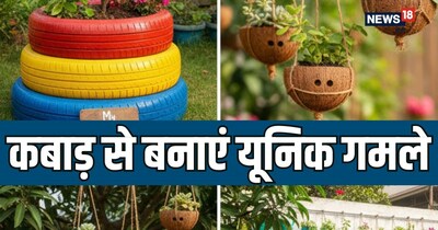 बिना किसी महंगे खर्चे के आप अपने घर के बेकार सामान से एक खूबसूरत और अनोखा बगीचा बना सकते हैं.