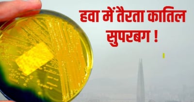 दिल्ली की हवा में स्टैफिलोकोकाई बैक्टीरिया. (सांकेतित तस्वीर)