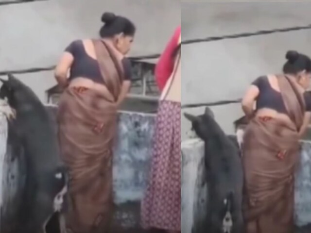 मोहल्ले में लड़ाई देखने छत पर जमा हुए लोग, बगल में खड़ा कुत्ता लेने लगा पूरा...